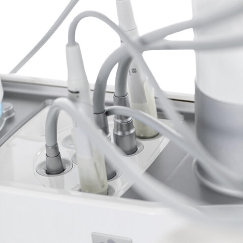 Sternweber_hygiena_01