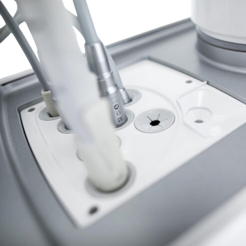 Sternweber_hygiena_01
