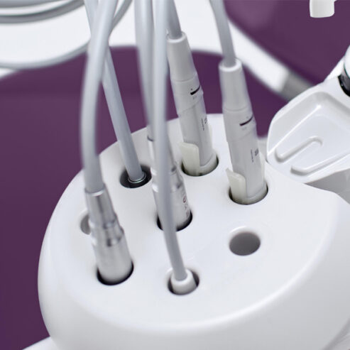 Sternweber_hygiena_02
