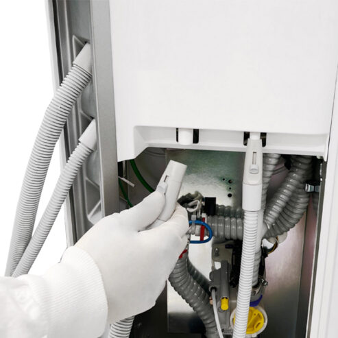 Sternweber_hygiena_04