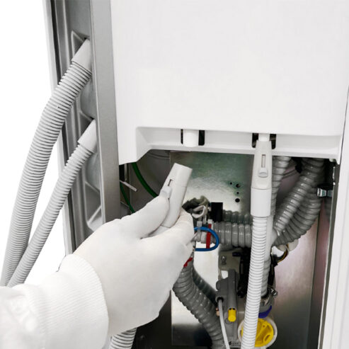 Sternweber_hygiena_04