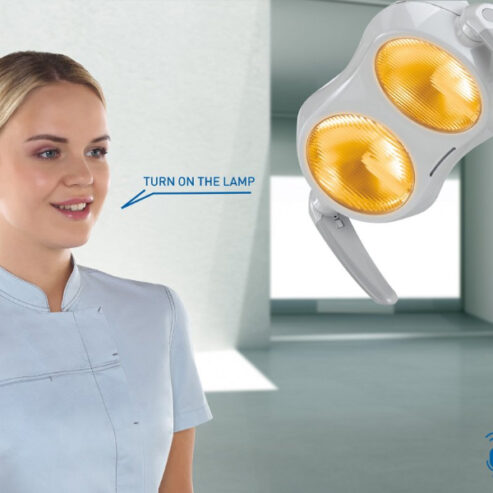 Stern Weber S300 10
