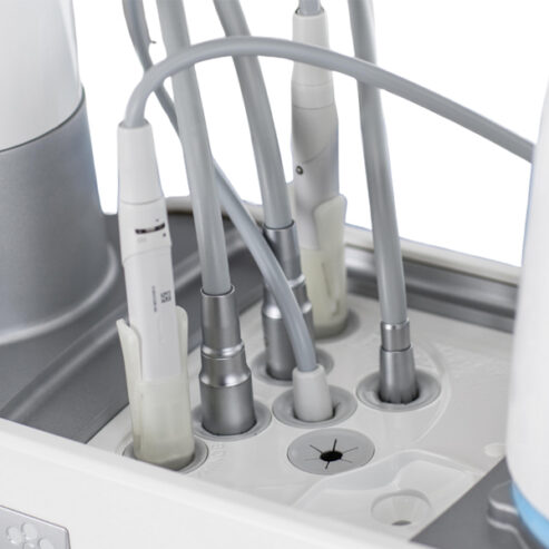 Sternweber_hygiena_01