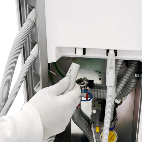 Sternweber_hygiena_03